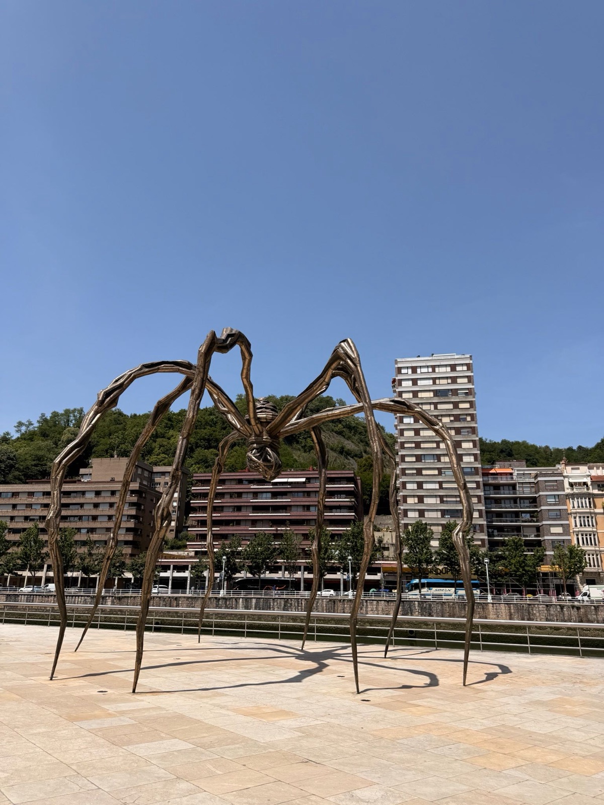 Maman, de spin van Louise Bourgeois